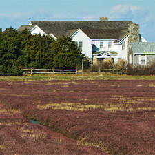 Preparing the field for planting