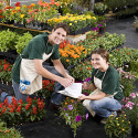 Employees at a garden center