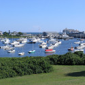 A view of sailboats in a harbor