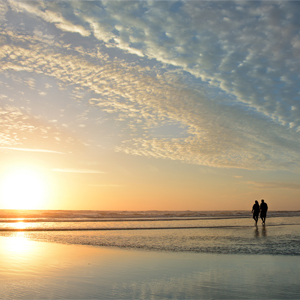 Executing Your Retirement Plan
