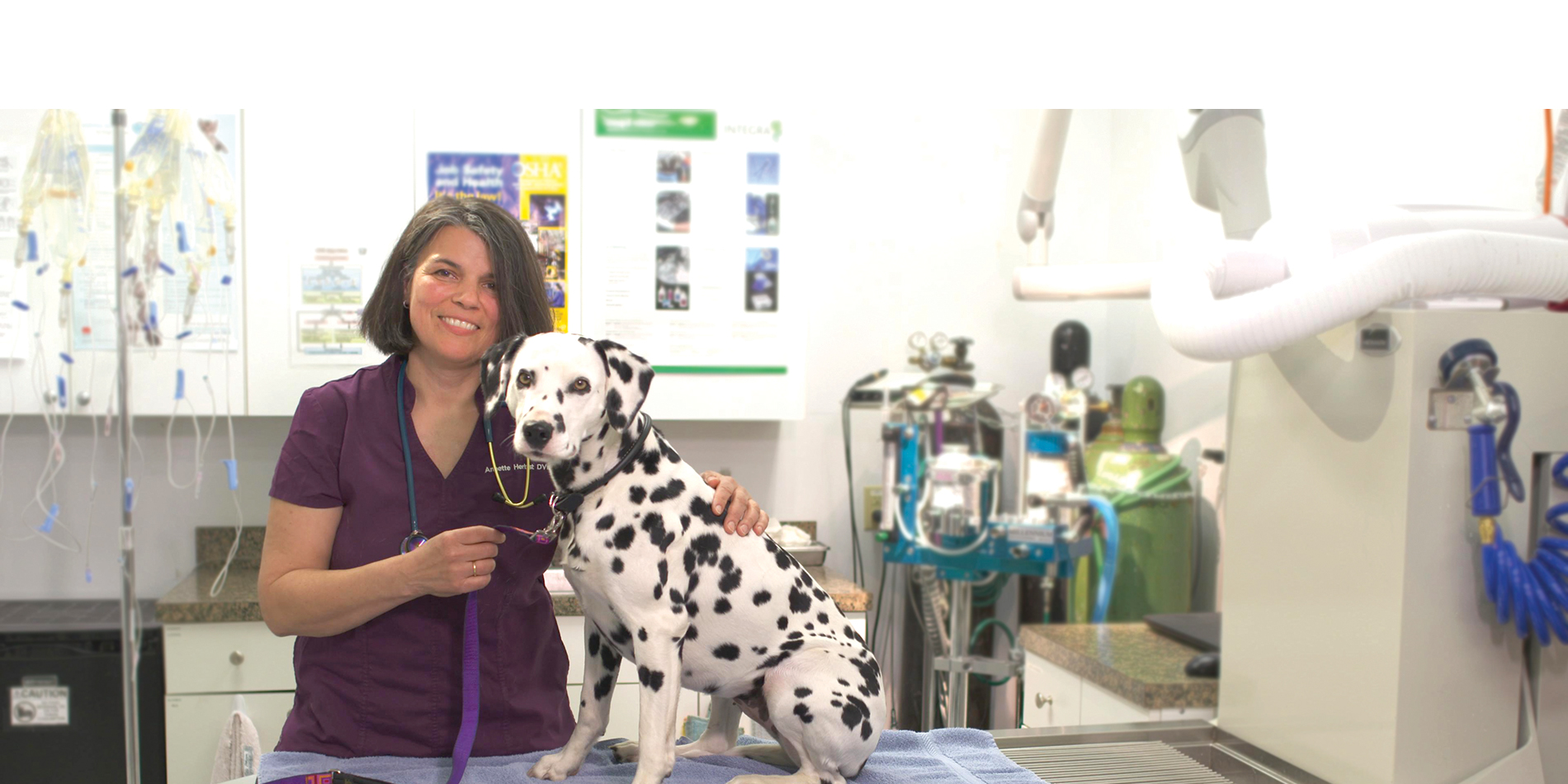 Dr. Annette Herbst, owner of All Pets Medical Center in Buzzards Bay, poses with Dalmation patient in exam room