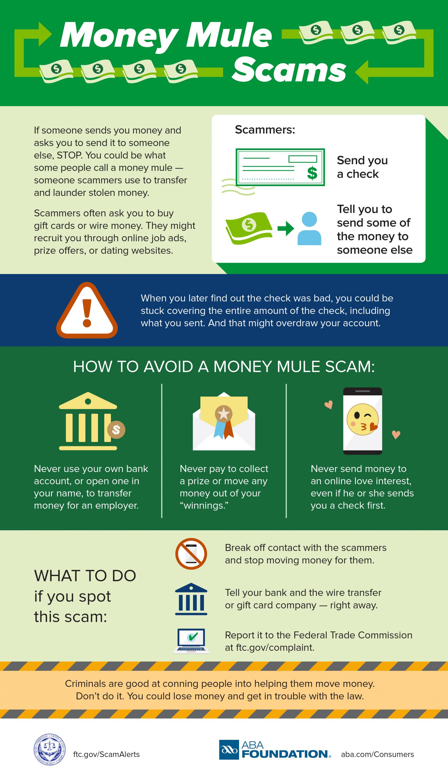 Money Mule Scam Infographic