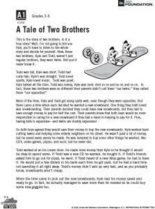 Tale of Two Brothers story