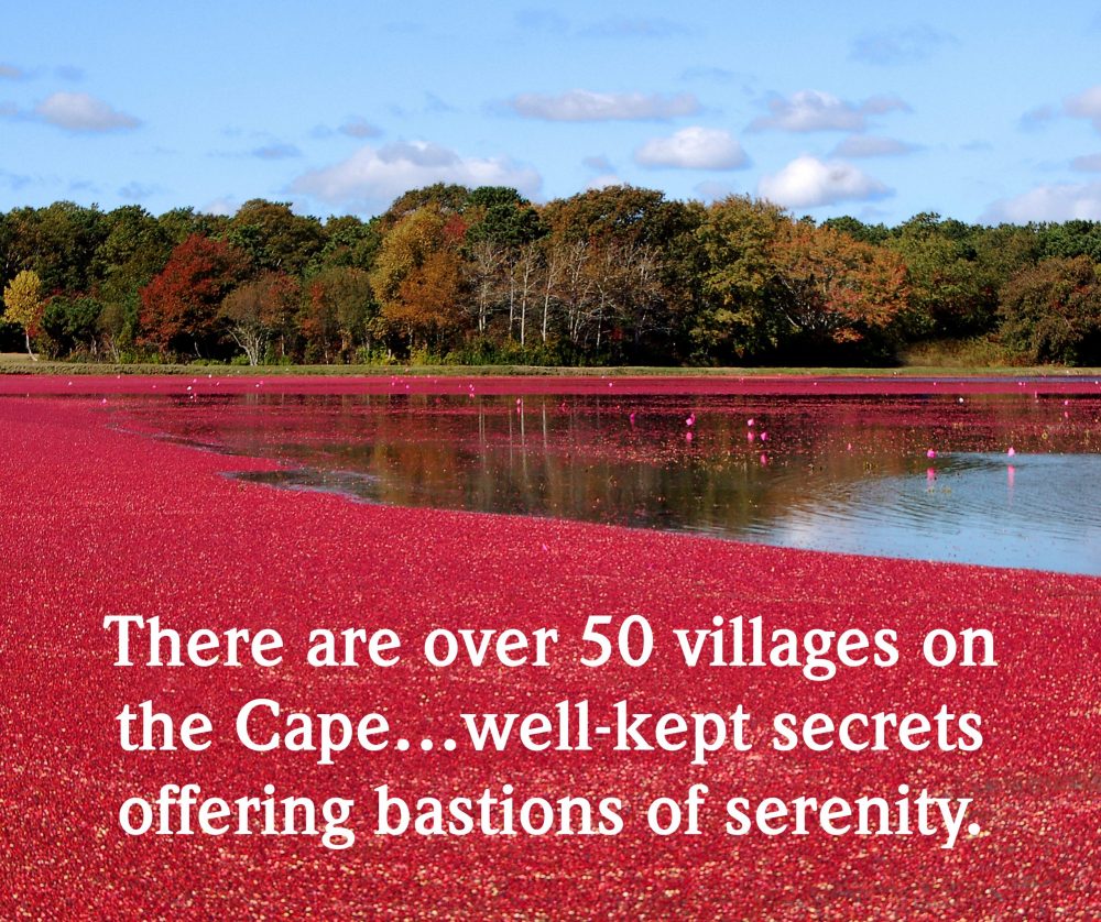 Image of Cranberry bog with quote: "There are over 50 villages on The Cape…well-kept secrets offering bastions of serenity."