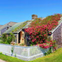 Image of a cottage with lots of flowers in Nantucket, Massachusetts