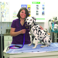 Dr. Herbst of All Pets Medical Center poses with Dalmation in vet office