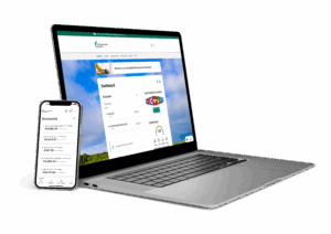 laptop and smartphone